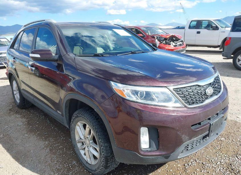 2014 Kia Sorento LX (VIN 5XYKTCA65EG438857) main photo
