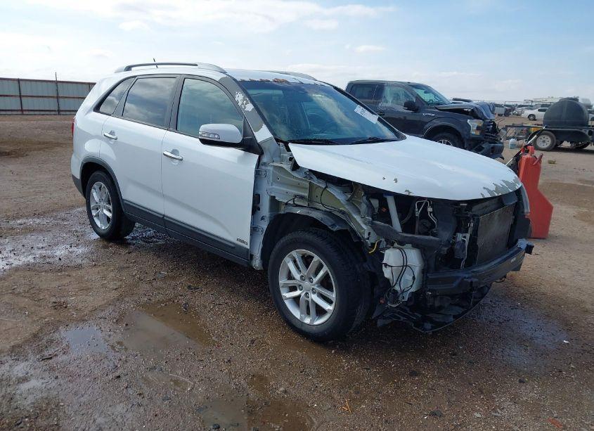 2014 Kia Sorento LX (VIN 5XYKTCA66EG451102) main photo