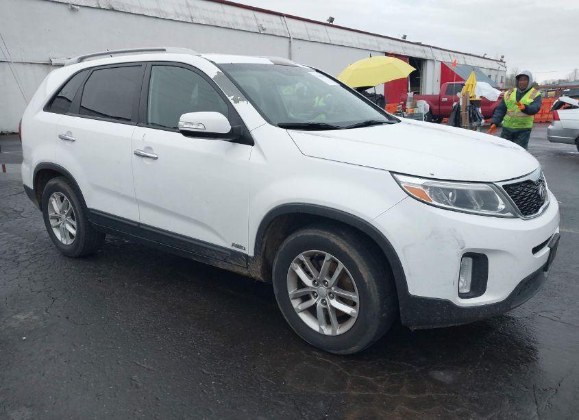 2014 Kia Sorento LX (VIN 5XYKTCA69EG438800) main photo