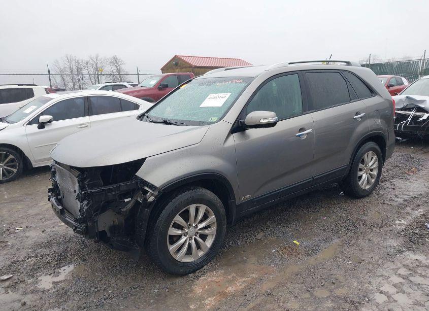 Photo 2 of 2011 Kia Sorento LX V6 (VIN 5XYKTDA22BG115252)