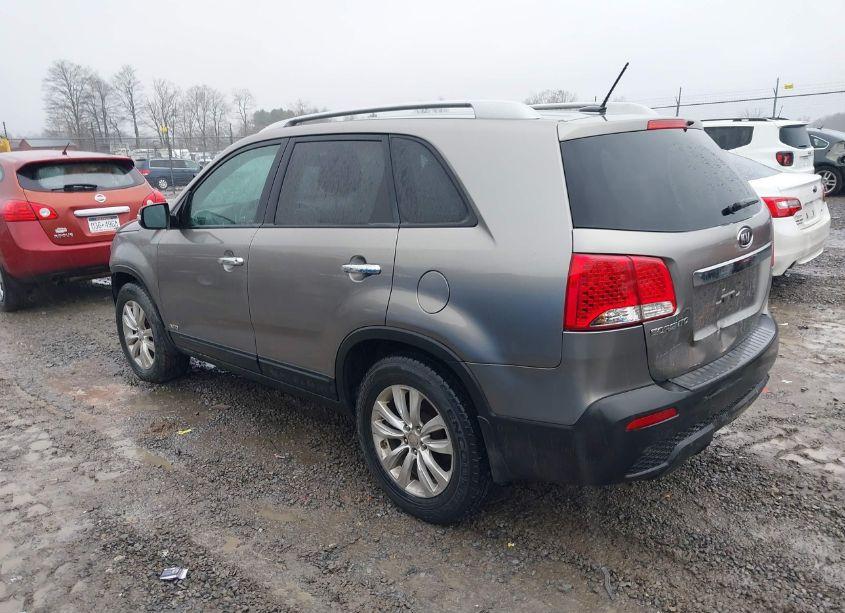 Photo 3 of 2011 Kia Sorento LX V6 (VIN 5XYKTDA22BG115252)