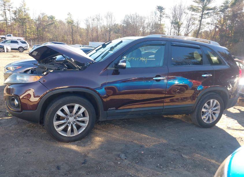 Photo 14 of 2011 Kia Sorento LX V6 (VIN 5XYKTDA23BG156084)