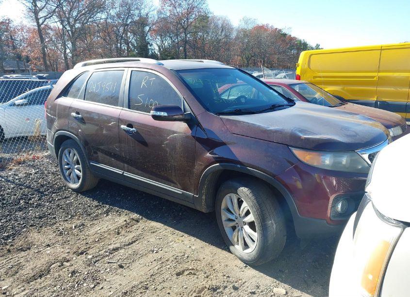2011 Kia Sorento LX V6 (VIN 5XYKTDA24BG065082) main photo