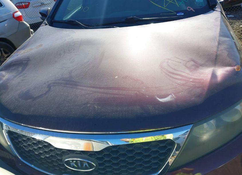 Photo 10 of 2011 Kia Sorento LX V6 (VIN 5XYKTDA24BG065082)