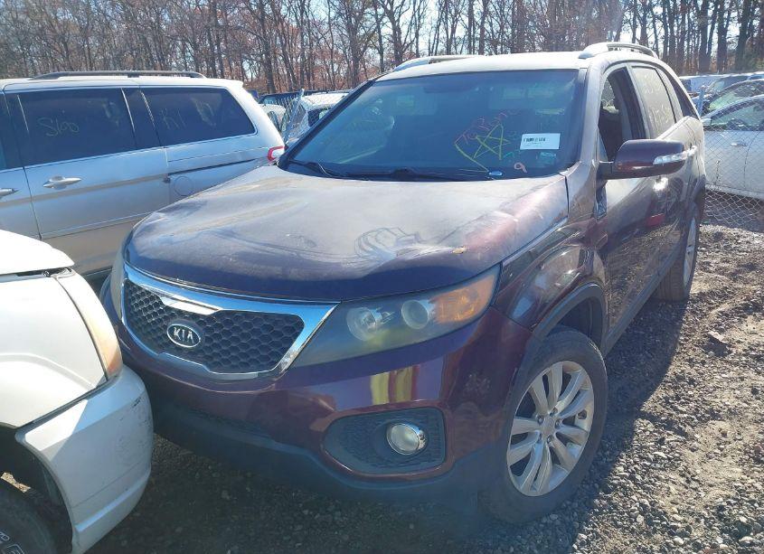 Photo 6 of 2011 Kia Sorento LX V6 (VIN 5XYKTDA24BG065082)