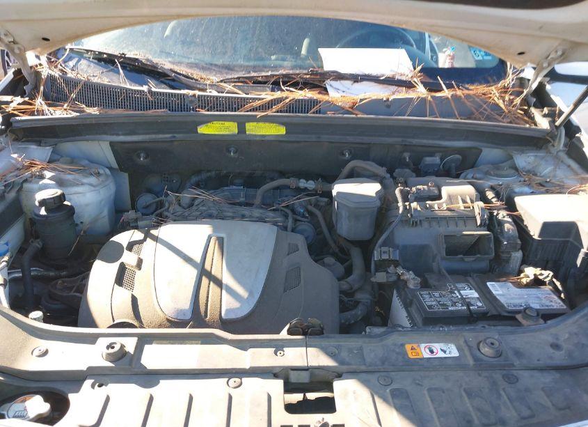 Photo 10 of 2013 Kia Sorento LX V6 (VIN 5XYKTDA25DG382260)