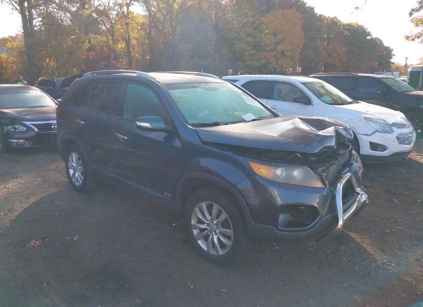 2011 Kia Sorento LX V6 (VIN 5XYKTDA26BG166107) main photo