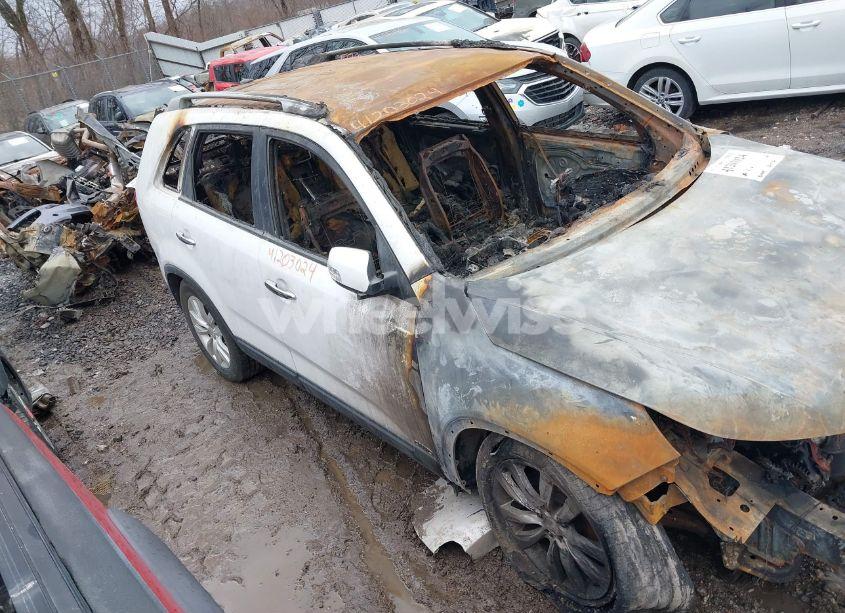 2011 Kia Sorento LX V6 (VIN 5XYKTDA27BG174796) main photo