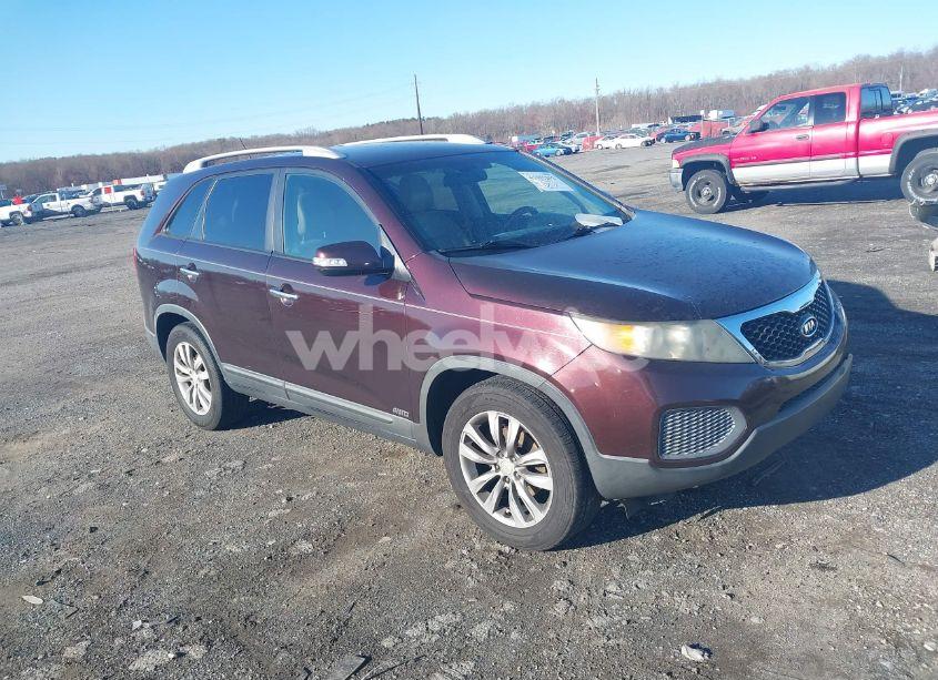 2011 Kia Sorento LX V6 (VIN 5XYKTDA2XBG093596) main photo