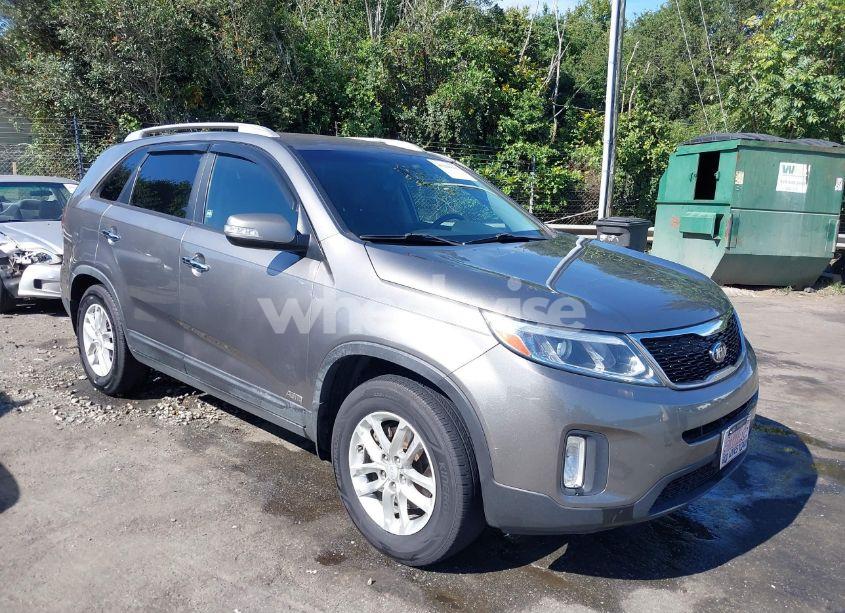 2014 Kia Sorento LX (VIN 5XYKTDA60EG518556) main photo