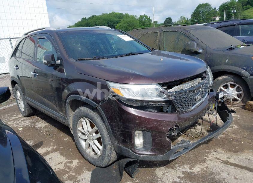 2014 Kia Sorento LX (VIN 5XYKTDA62EG444945) main photo