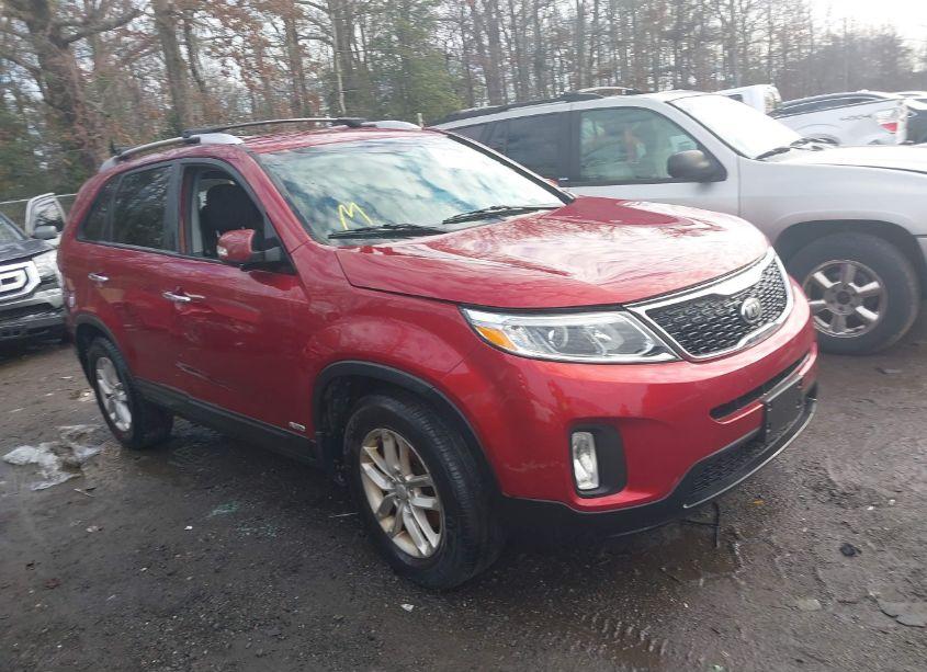 2014 Kia Sorento LX (VIN 5XYKTDA63EG516865) main photo