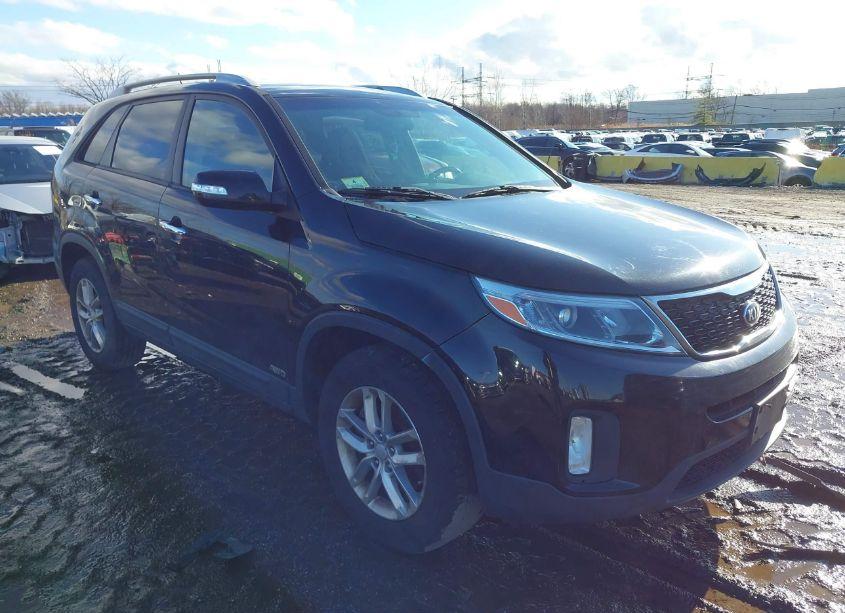 2015 Kia Sorento LX (VIN 5XYKTDA65FG569150) main photo