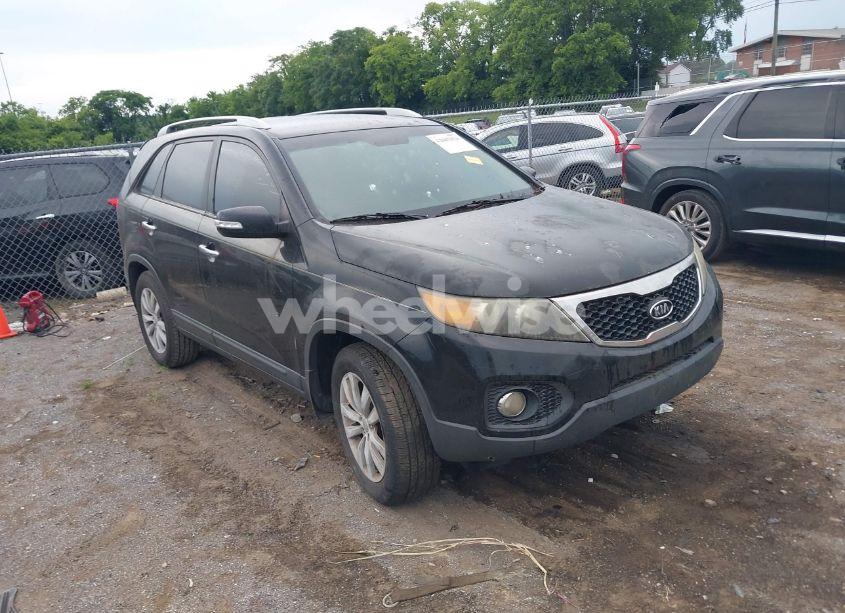 2011 Kia Sorento EX (VIN 5XYKU3A14BG015703) main photo