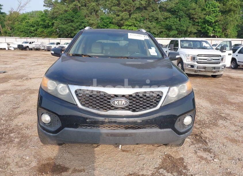 Photo 6 of 2011 Kia Sorento EX (VIN 5XYKU3A14BG028953)