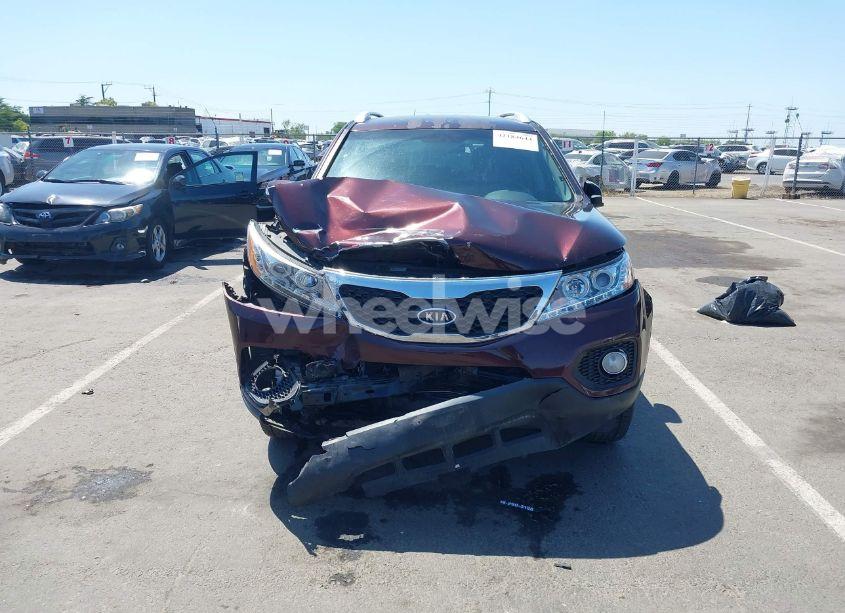 Photo 13 of 2011 Kia Sorento EX (VIN 5XYKU3A19BG032920)