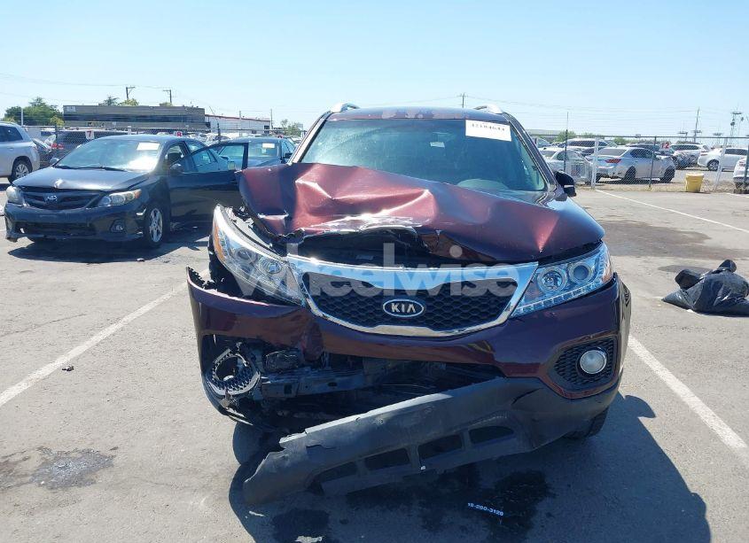 Photo 6 of 2011 Kia Sorento EX (VIN 5XYKU3A19BG032920)
