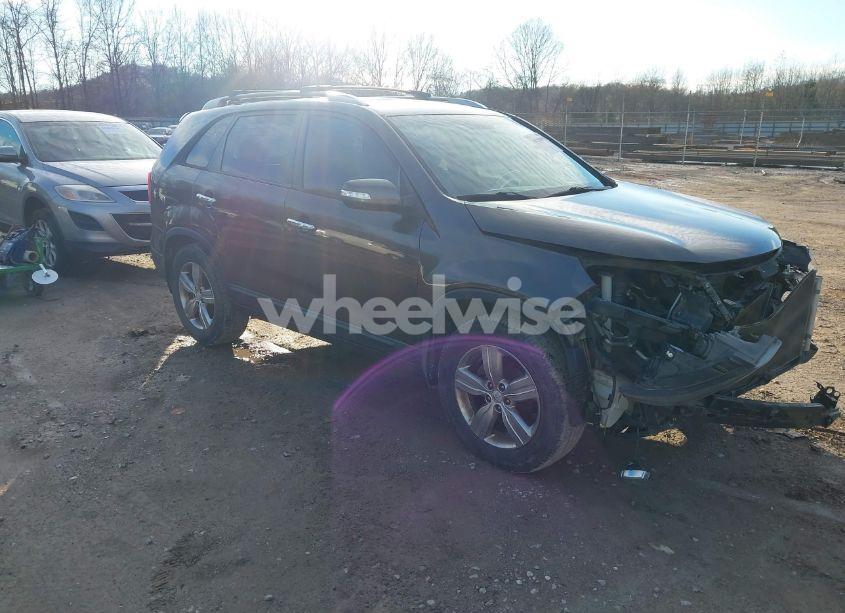 2013 Kia Sorento EX (VIN 5XYKU3A67DG354809) main photo