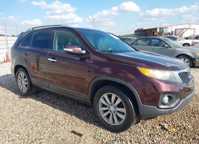 2011 Kia Sorento EX (VIN 5XYKU4A16BG035909) main photo