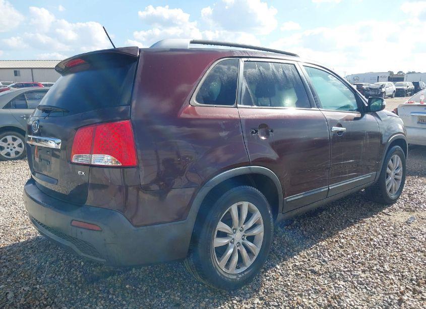 Photo 4 of 2011 Kia Sorento EX (VIN 5XYKU4A16BG035909)