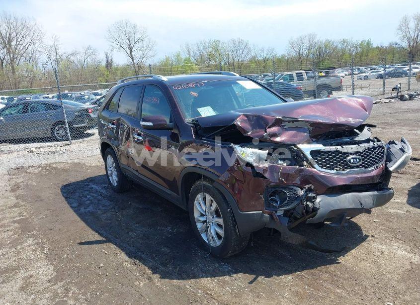 2011 Kia Sorento EX (VIN 5XYKU4A18BG143898) main photo