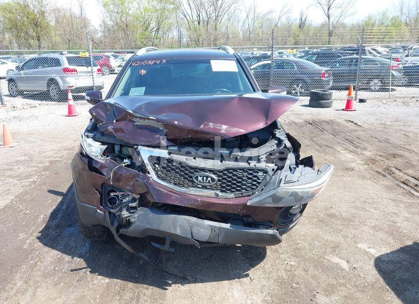 Photo 12 of 2011 Kia Sorento EX (VIN 5XYKU4A18BG143898)