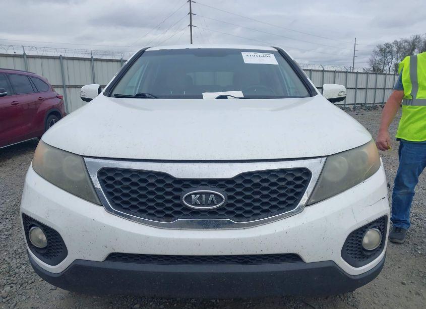 Photo 12 of 2011 Kia Sorento EX (VIN 5XYKU4A1XBG016229)