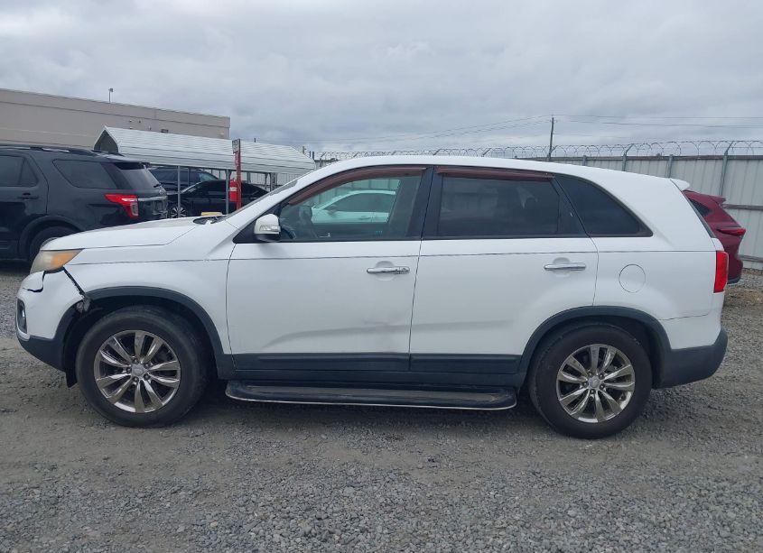 Photo 14 of 2011 Kia Sorento EX (VIN 5XYKU4A1XBG016229)