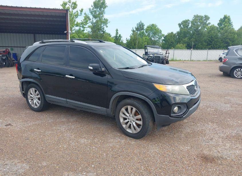 2011 Kia Sorento EX (VIN 5XYKU4A1XBG038294) main photo