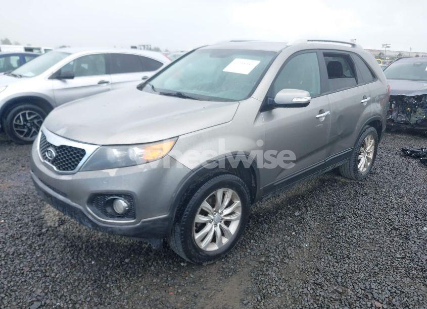 Photo 2 of 2011 Kia Sorento EX V6 (VIN 5XYKU4A21BG086324)