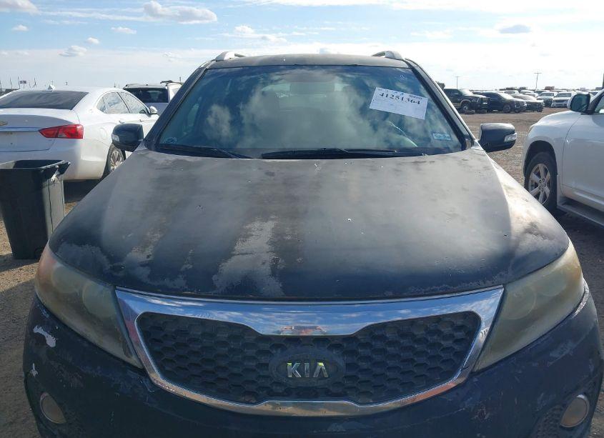 Photo 6 of 2011 Kia Sorento EX V6 (VIN 5XYKU4A22BG038329)