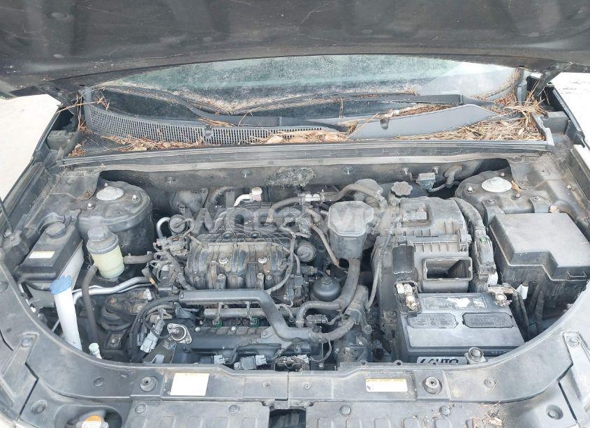 Photo 10 of 2011 Kia Sorento EX V6 (VIN 5XYKU4A22BG040727)