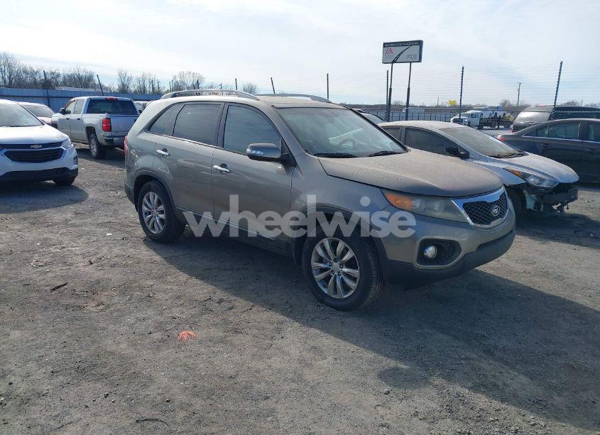 2011 Kia Sorento EX V6 (VIN 5XYKU4A24BG156981) main photo