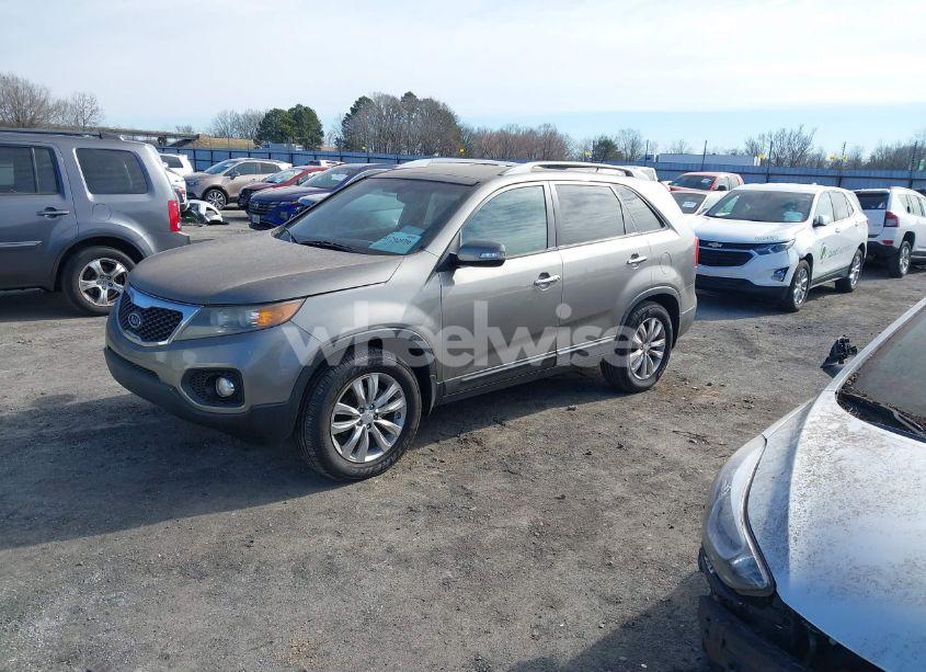 Photo 2 of 2011 Kia Sorento EX V6 (VIN 5XYKU4A24BG156981)