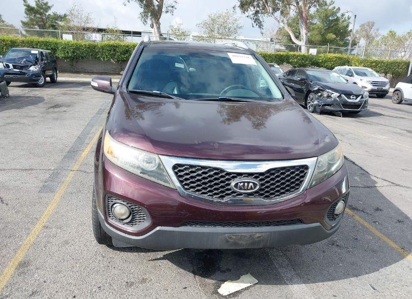 Photo 12 of 2011 Kia Sorento EX V6 (VIN 5XYKU4A25BG034923)