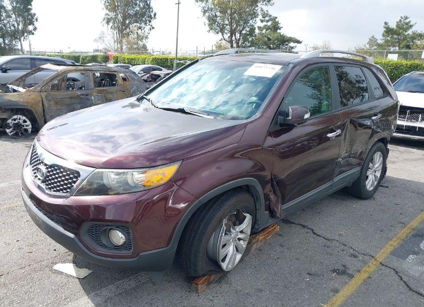 Photo 2 of 2011 Kia Sorento EX V6 (VIN 5XYKU4A25BG034923)