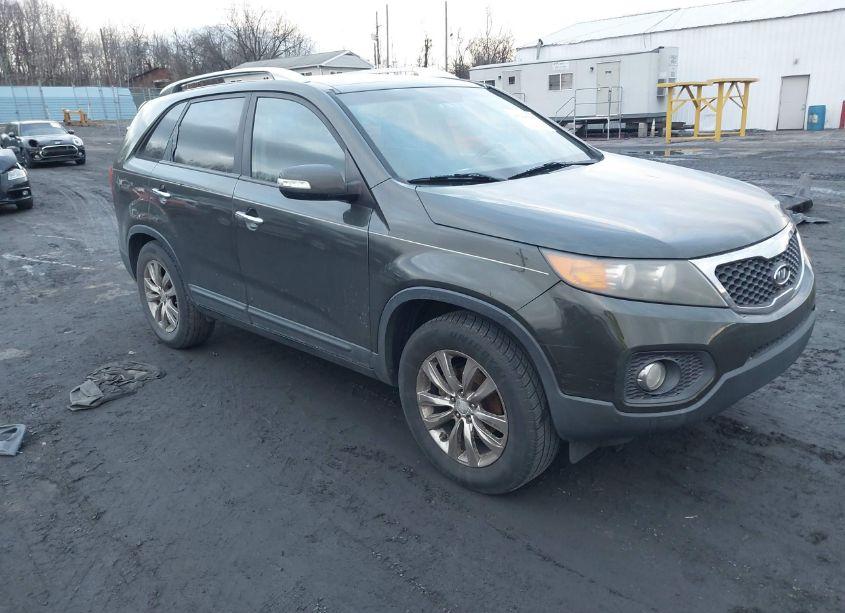 2011 Kia Sorento EX V6 (VIN 5XYKU4A25BG113721) main photo