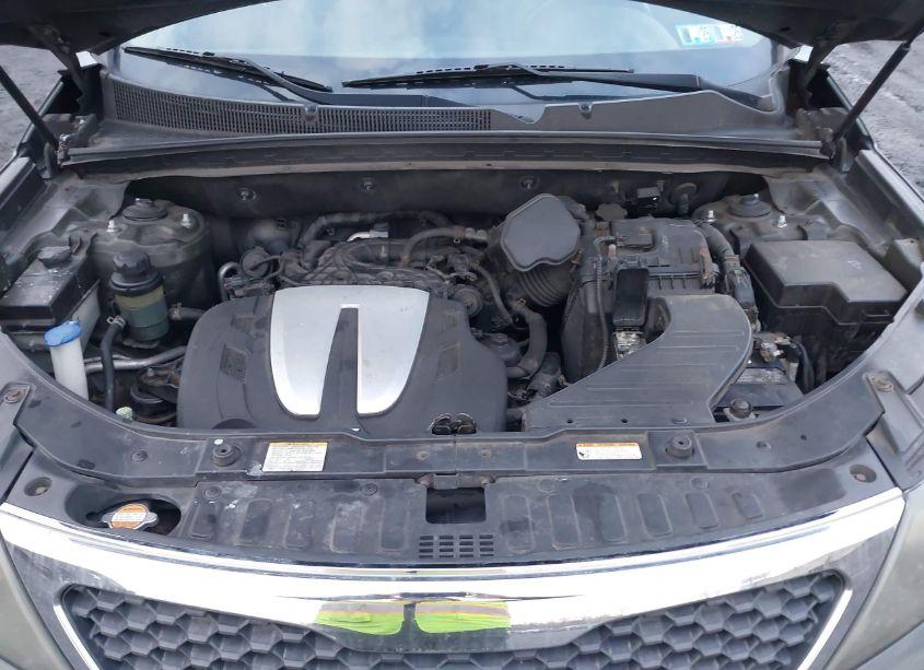 Photo 10 of 2011 Kia Sorento EX V6 (VIN 5XYKU4A25BG113721)