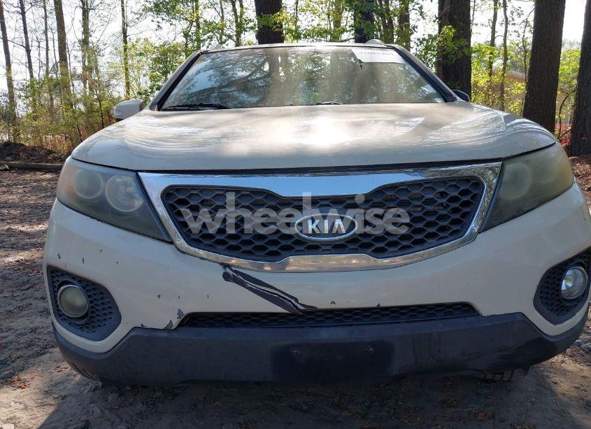 Photo 6 of 2011 Kia Sorento EX V6 (VIN 5XYKU4A27BG011773)