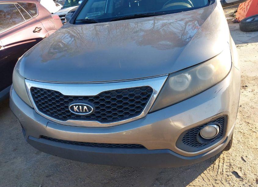 Photo 6 of 2011 Kia Sorento EX V6 (VIN 5XYKU4A27BG022644)