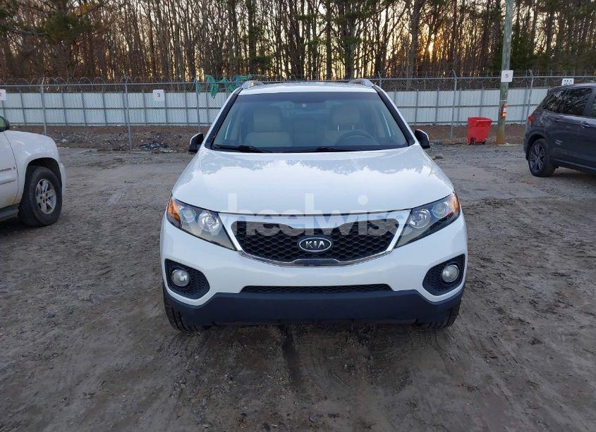 Photo 6 of 2011 Kia Sorento EX V6 (VIN 5XYKU4A28BG034303)