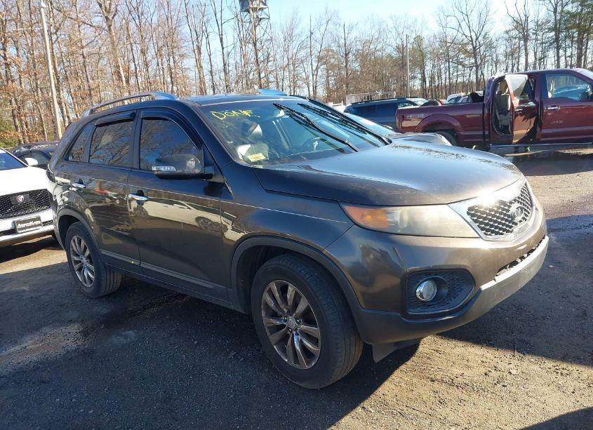 2011 Kia Sorento EX V6 (VIN 5XYKU4A28BG114314) main photo