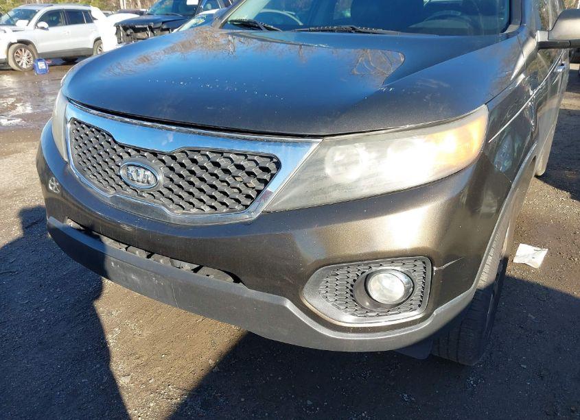 Photo 6 of 2011 Kia Sorento EX V6 (VIN 5XYKU4A28BG114314)