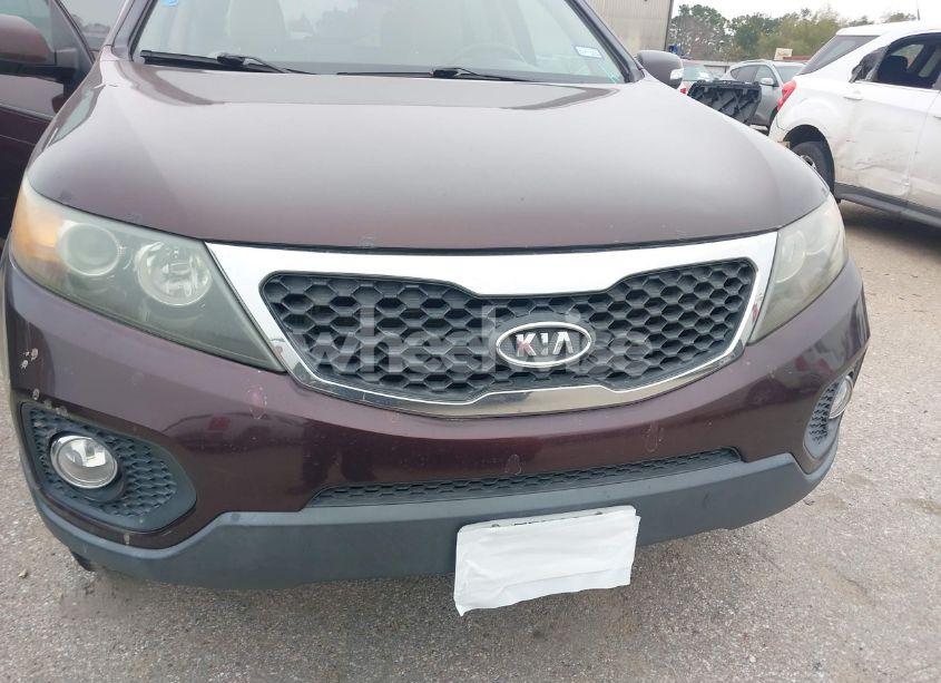 Photo 6 of 2011 Kia Sorento EX V6 (VIN 5XYKU4A2XBG069750)