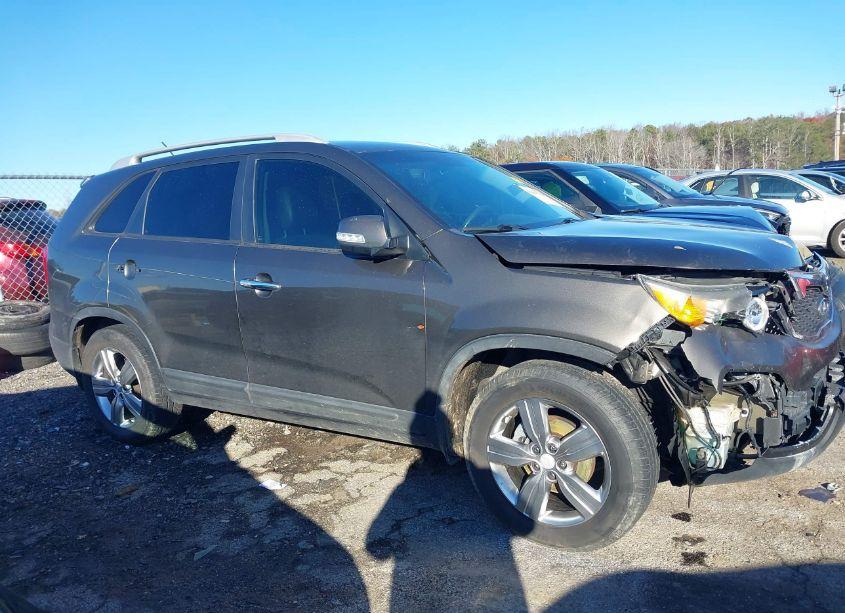 Photo 13 of 2013 Kia Sorento EX (VIN 5XYKU4A63DG406782)