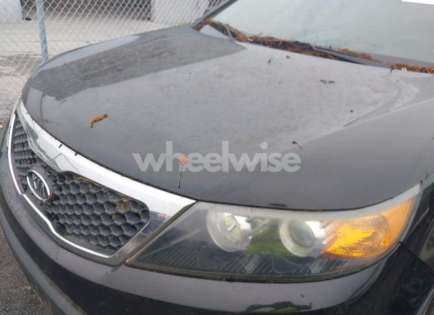 Photo 6 of 2013 Kia Sorento EX (VIN 5XYKU4A6XDG330770)