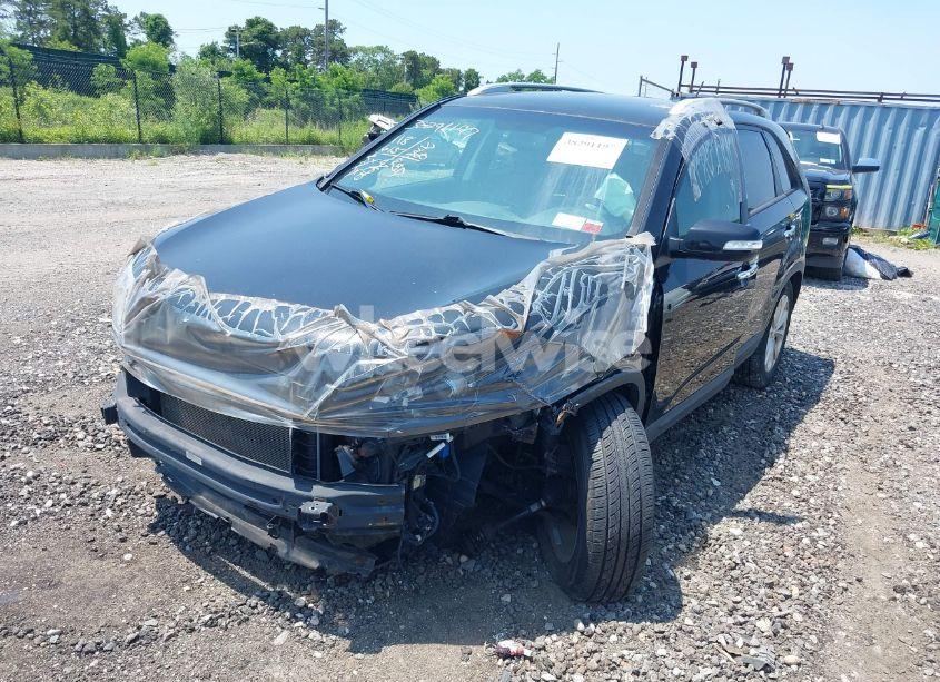 Photo 6 of 2014 Kia Sorento EX V6 (VIN 5XYKU4A73EG491441)