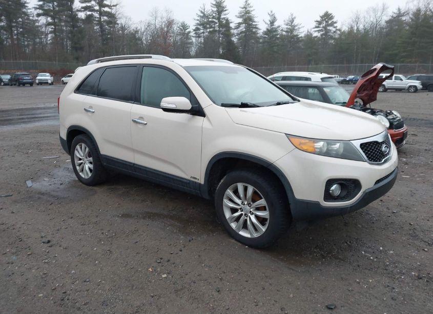 2011 Kia Sorento EX (VIN 5XYKUCA18BG070526) main photo