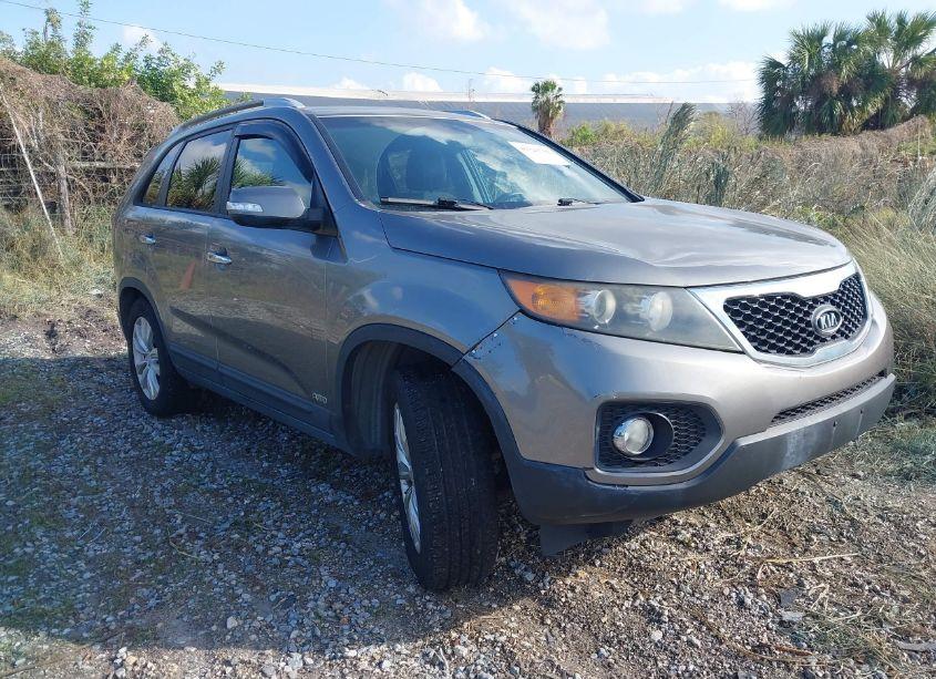 2011 Kia Sorento EX (VIN 5XYKUCA19BG034294) main photo