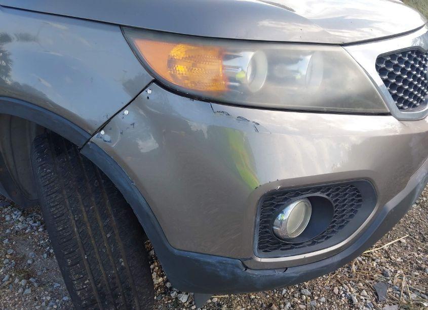 Photo 6 of 2011 Kia Sorento EX (VIN 5XYKUCA19BG034294)